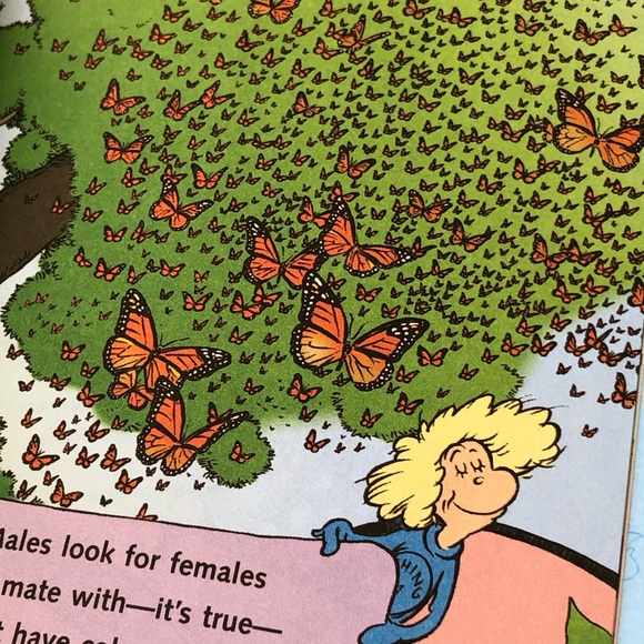 De Seuss Cat in the Hat. My oh my - a butterfly! - Picture 8 of 9